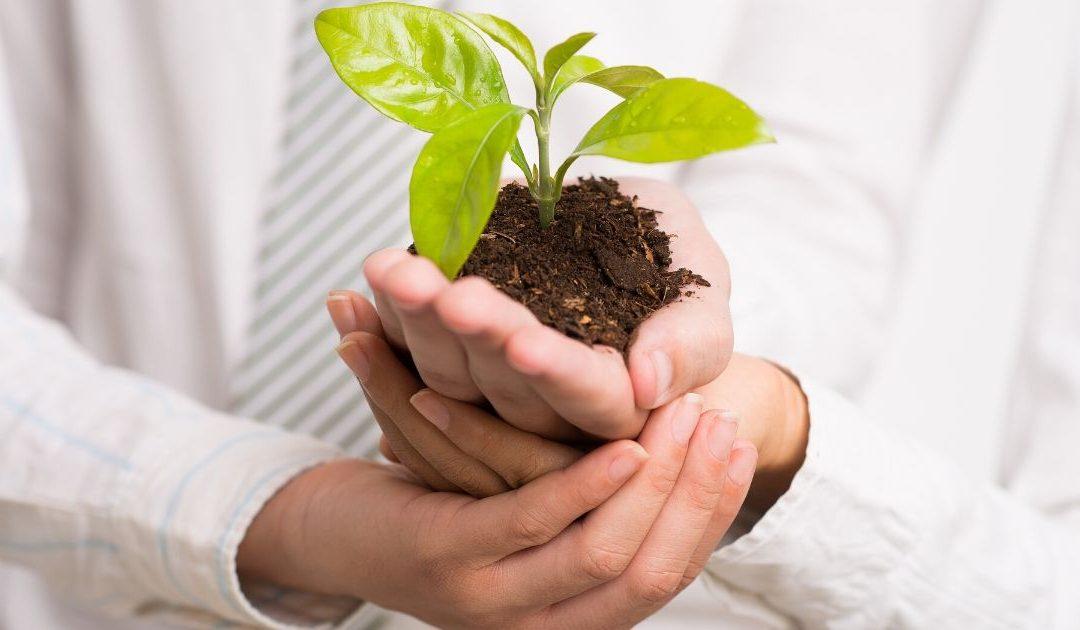 What Is Growth Mindset?